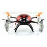 Quadrocopter Ladybug 4CH 2.4 GHz - zdjęcie 5