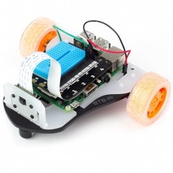 STS-Pi - Roving Robot 2WD -...