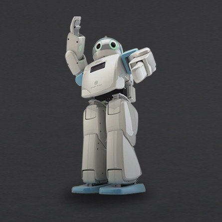 Hovis Eco Plus - humanoid robot 20 DoF