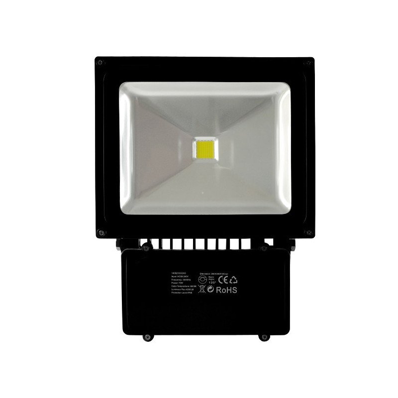 ART LED outdoor lamp, 70W, 4200lm, IP66, AC80-265V, 4000K - white neutral