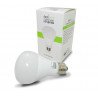 Domitech ZBulb - dimmable E27 bulb, 9W, warm white - zdjęcie 3