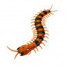 WilDroid - Centipede - zdjęcie 1