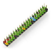 Colour coded 40 pin header