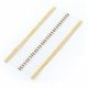 THT resistor 1/4 W 100Ω - 30 pcs. THT resistor 1/4 W 100Ω - 30 pcs.