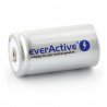 EverActive R14/C Ni-MH 3500mAh Silver Line battery - zdjęcie 1