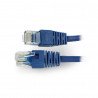 Ethernet Patchcord UTP 5e 0,25m - blue - zdjęcie 1