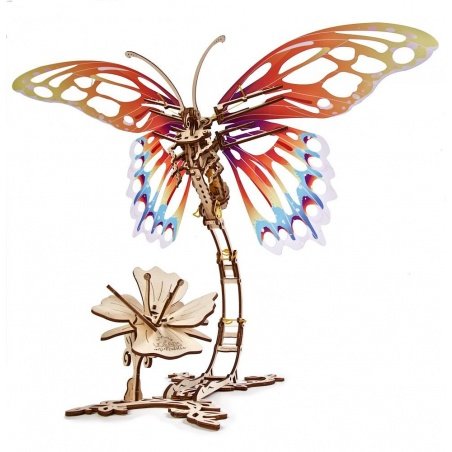 Butterfly - mechanical model for folding - veneer - 161
