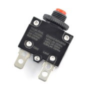 Fuse with Reset 250V10A