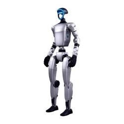 Humanoids