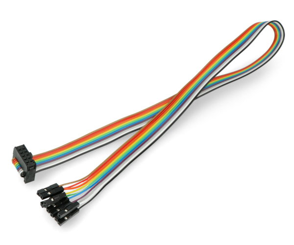 IDC 10 female cable