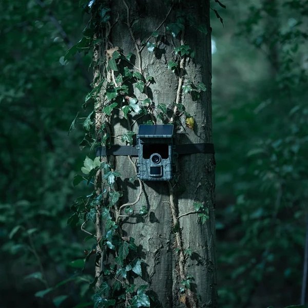 Ez-solar camera trap hangs on a tree in the forest at night.