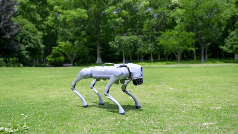 Four-legged walking platform - robo dog - Unitree Go2
