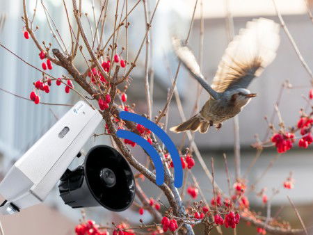 Forest animal repellent - wild boars, roe deer, birds - IP44 - Viano