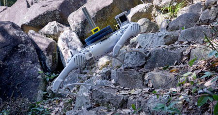 Four-legged walking platform - robo dog - Unitree B2